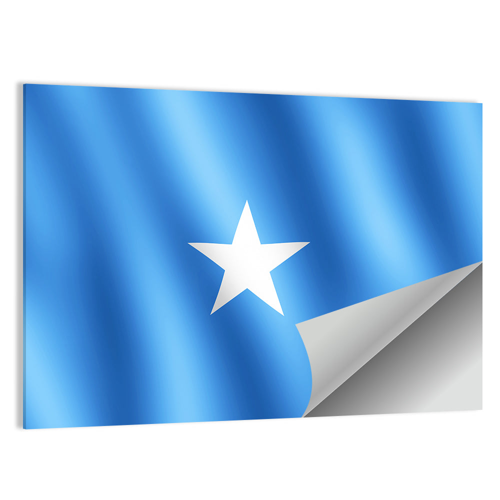 Somalia Flag with Five-pointed Star Wall Art