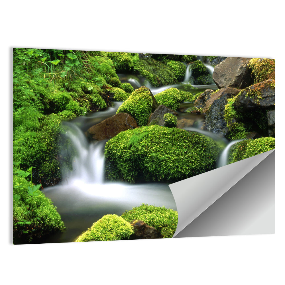 Mossy Mountain Stream Wall Art