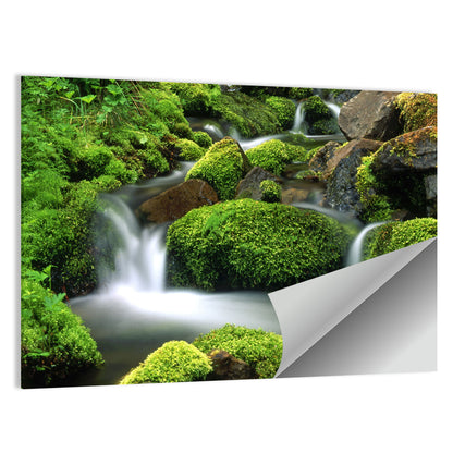 Mossy Mountain Stream Wall Art