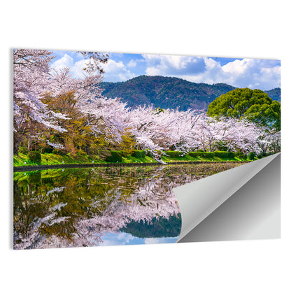 Spring at Daikaku-ji Pond Wall Art