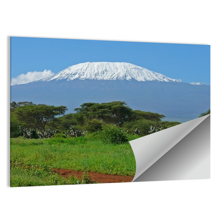 Mount Kilimanjaro Snow Capped Peak Wall Art as a poster print