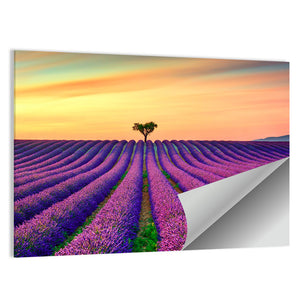 Lavender Flowers Blooming Field Wall Art