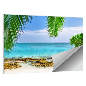 Tropical Island In Maldives Wall Art