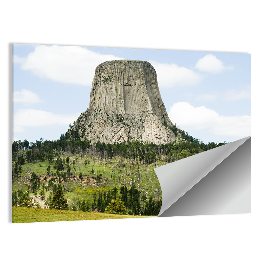 Devils Tower Columnar Monolith Wall Art