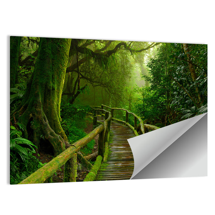 Misty Nepal Jungle Boardwalk Wall Art as a poster print