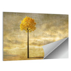 Solitary Tree at Golden Hour Wall Art