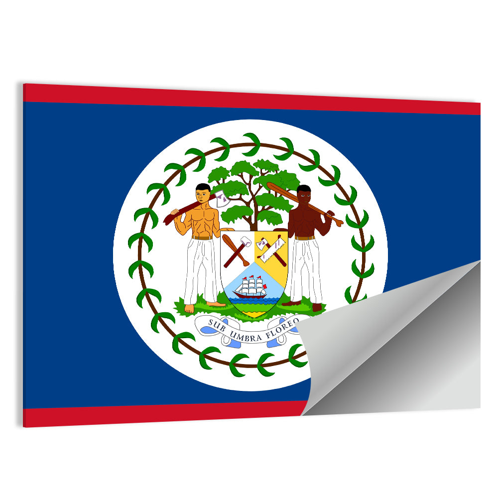 Belize National Flag Emblem Wall Art