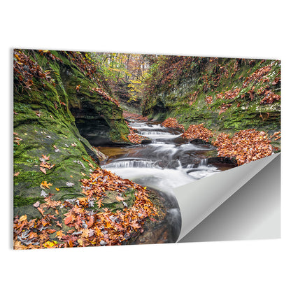 Warren County Autumn Cascades Wall Art