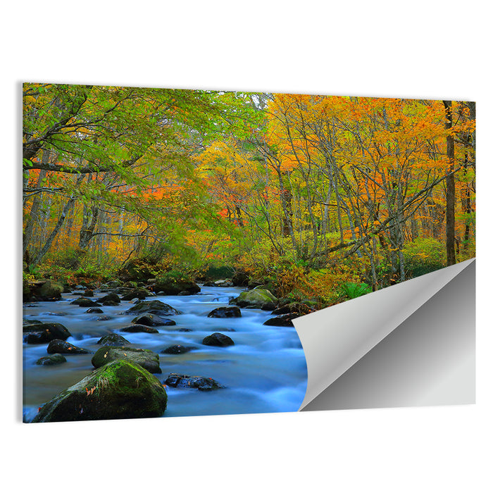 Oirase Gorge Autumn Stream Wall Art as a poster print