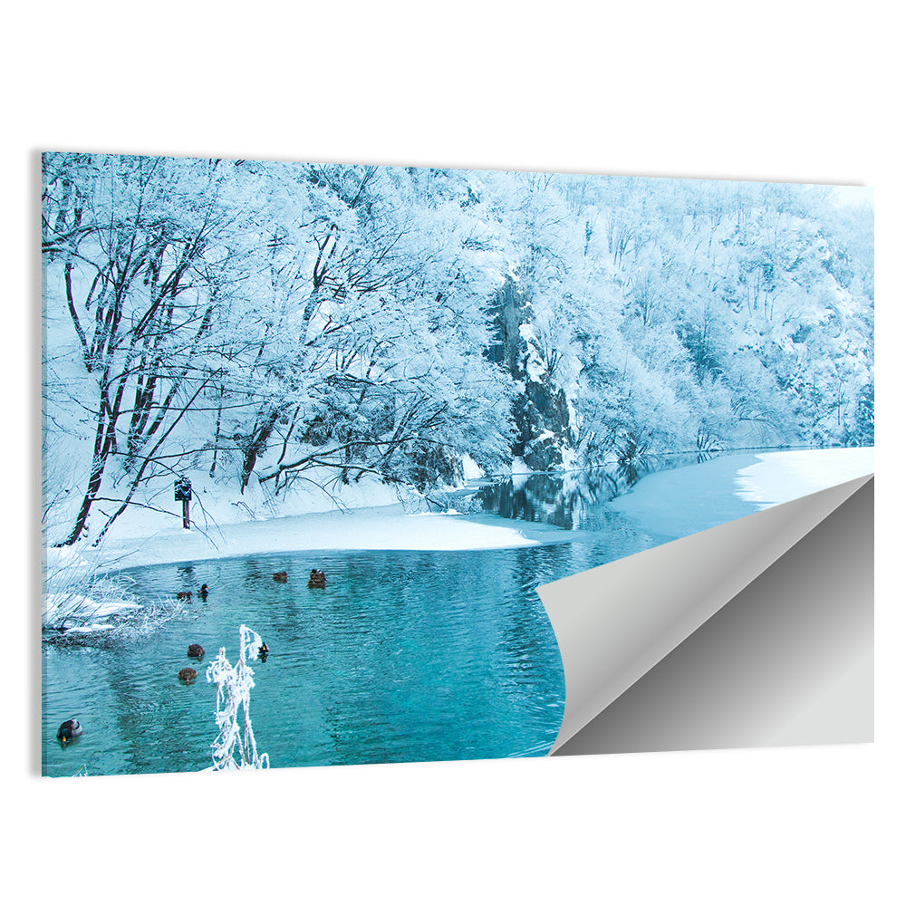 Frozen Lake in Plitvice Wall Art