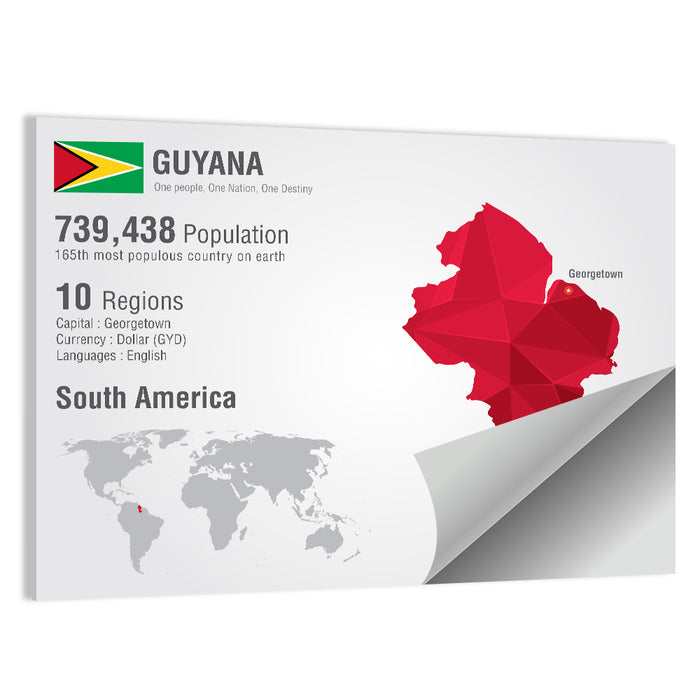 Guyana Low-poly Map Infographic Wall Art as a poster print