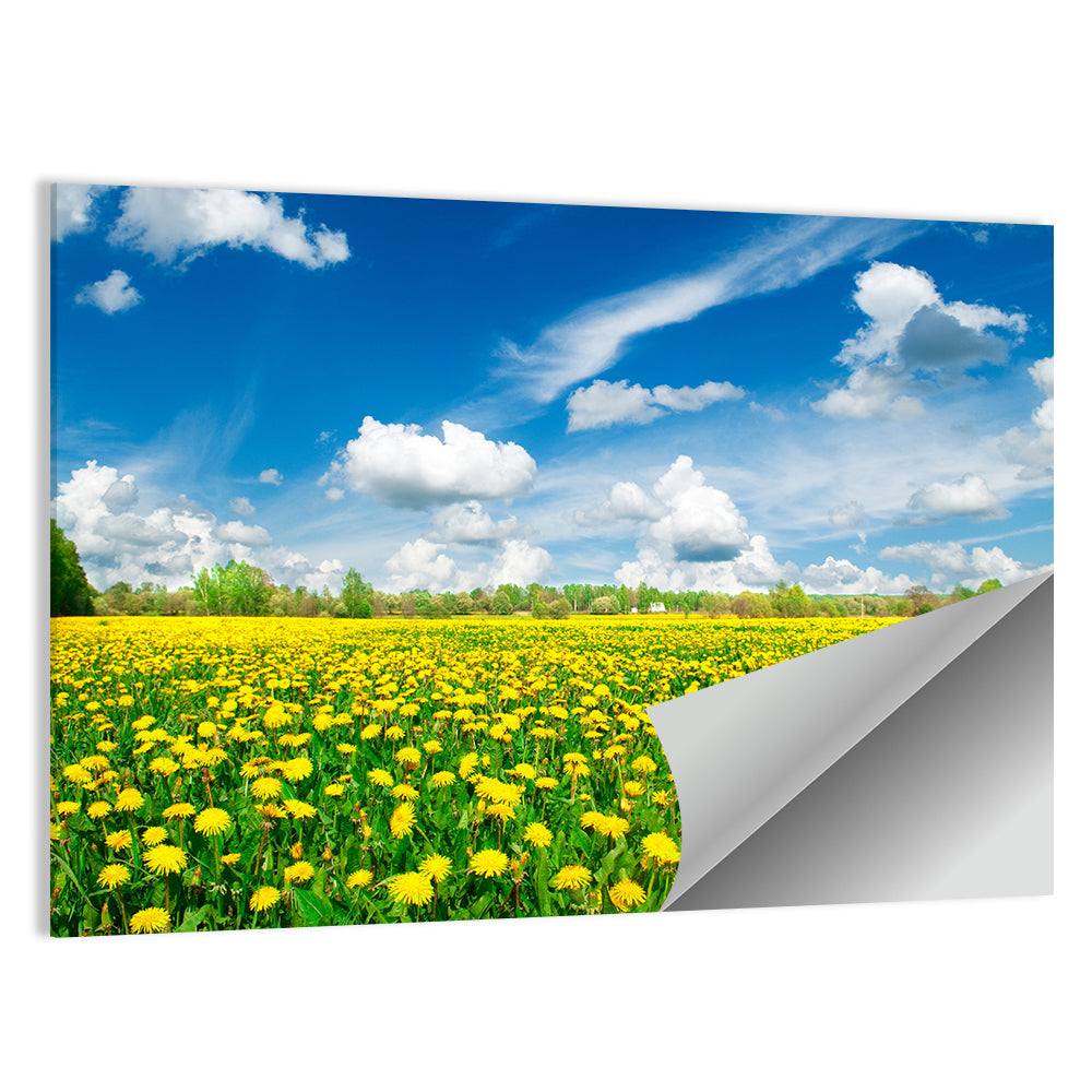 Yellow Dandelion Meadow Wall Art