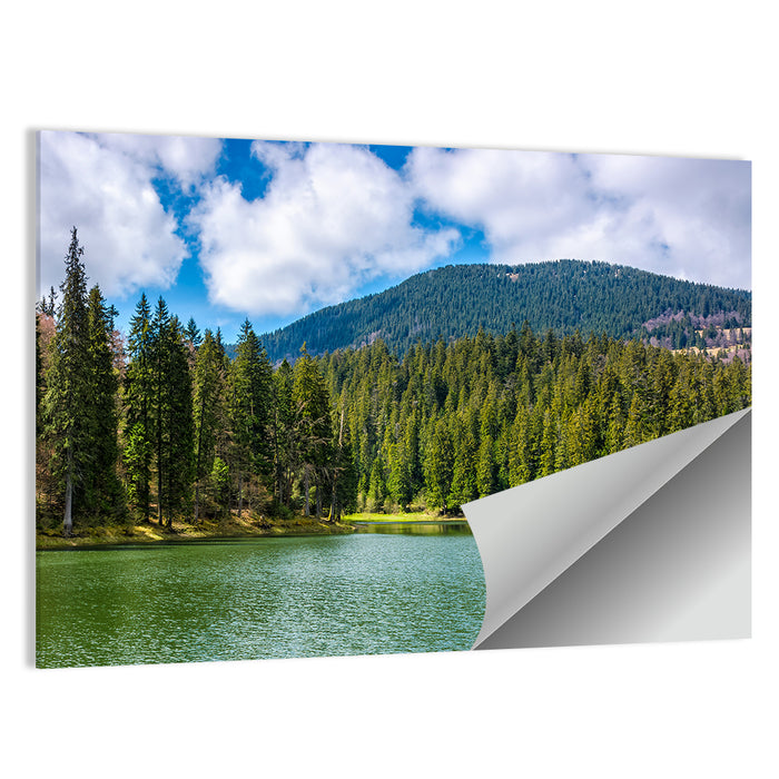 Synevir Mountain Lake Wall Art as a poster print