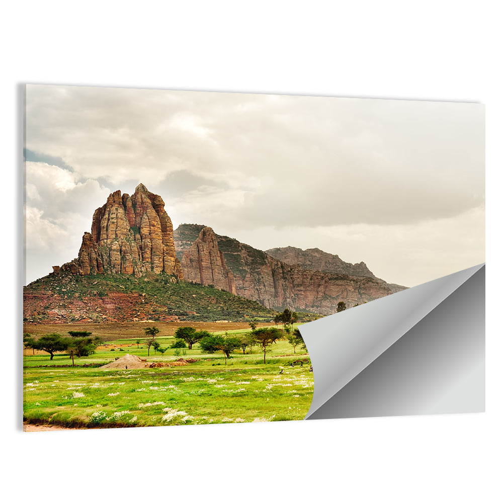 Tigray Mountain Meadow Wall Art