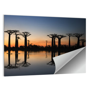 Baobabs At Sunrise Madagascar Wall Art