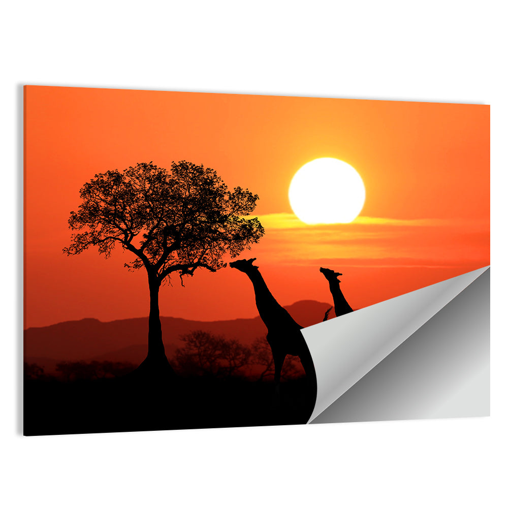 Three Giraffes at Sunset Wall Art