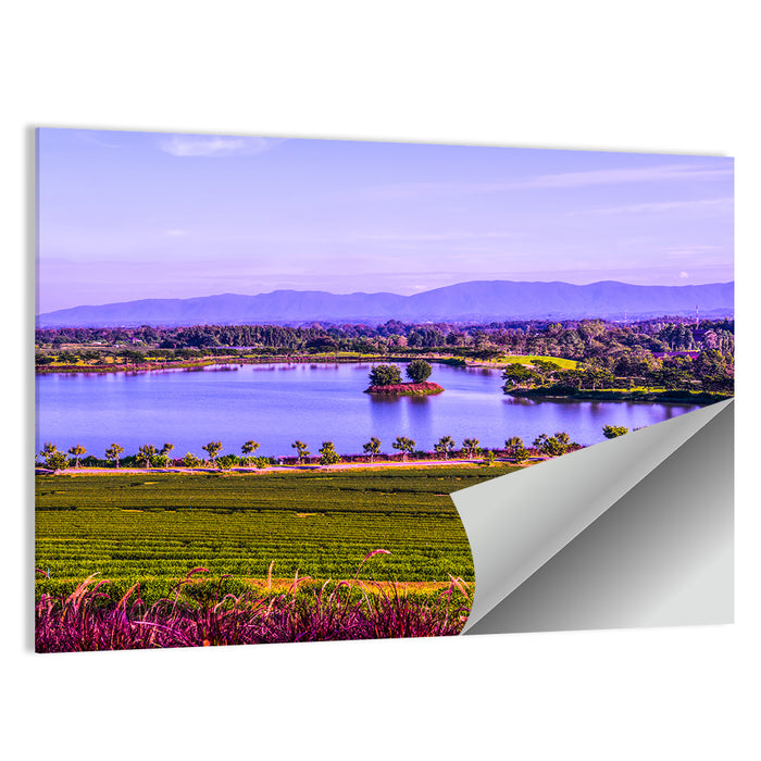 Thai Tea Plantation and Lake Wall Art as a poster print