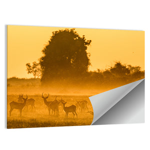 Antelope Group At Sunset Wall Art