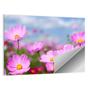 Pink Cosmos Field & Sky Wall Art