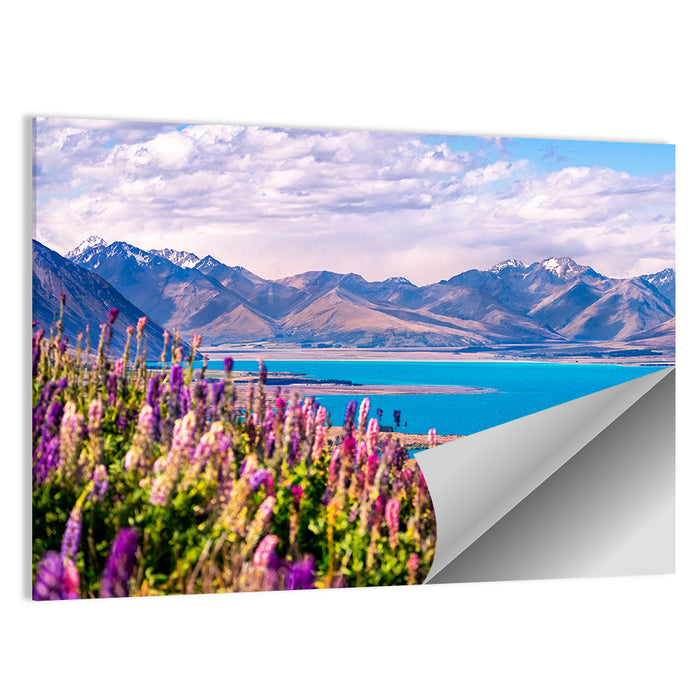 Lake Tekapo Lupine Meadow Wall Art as a poster print