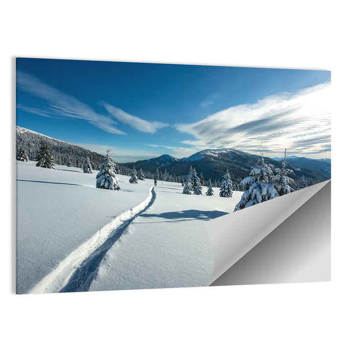 Snowy Carpathian Trail Wall Art as a poster print