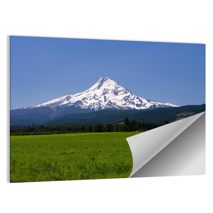 Mount Hood Meadow View Wall Art as a poster print