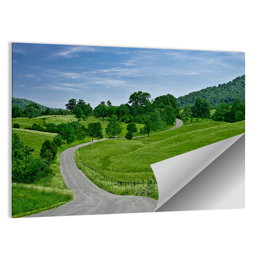 Blue Ridge Winding Road, Western Virginia Wall Art