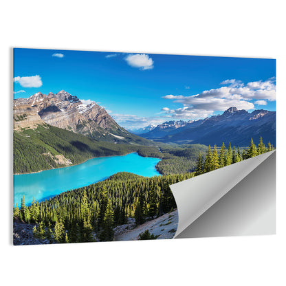 Peyto Lake, Banff National Park Wall Art