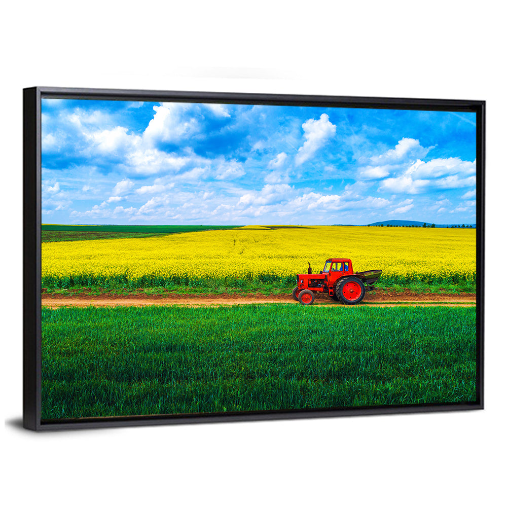 Red Tractor Over Yellow Rapeseed Field Wall Art