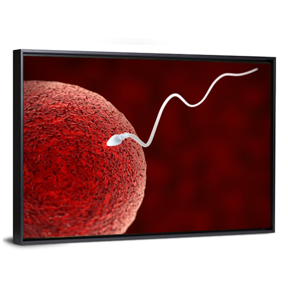 Sperm Approaching Ovum Wall Art
