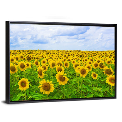 Sunflower Field Under Blue Sky Wall Art