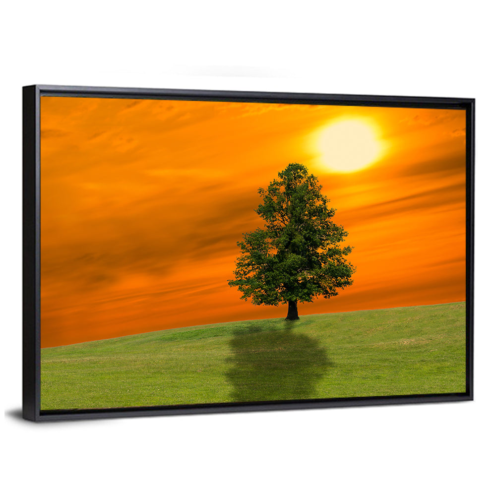 Lonely Tree on Green Hill at Sunset Wall Art