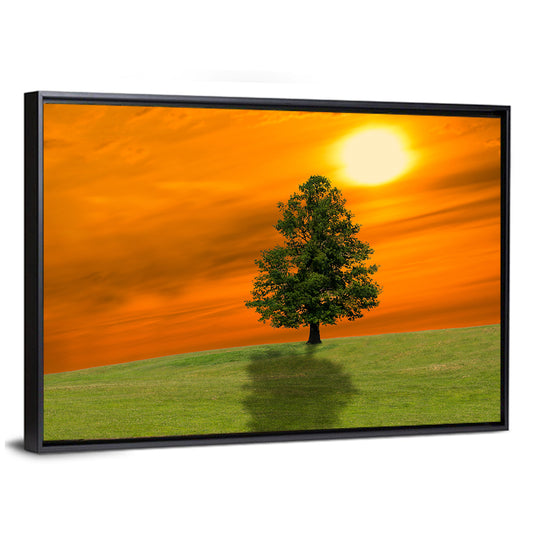 Lonely Tree on Green Hill at Sunset Wall Art