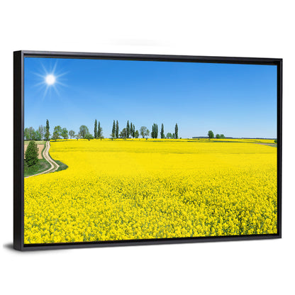 Winding Path Through Rapeseed Field Wall Art