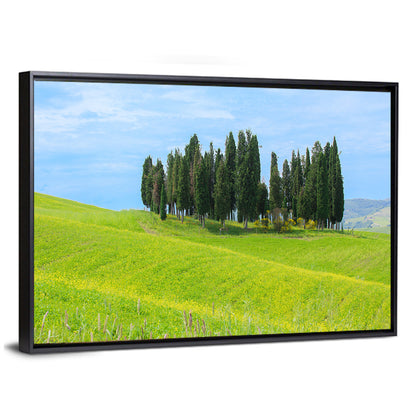 Tuscany Cypress Trees Wall Art