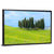 Cypress Trees In Tuscany Wall Art