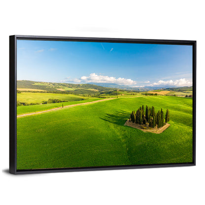 Italian Cypresses on Rolling Hills Wall Art