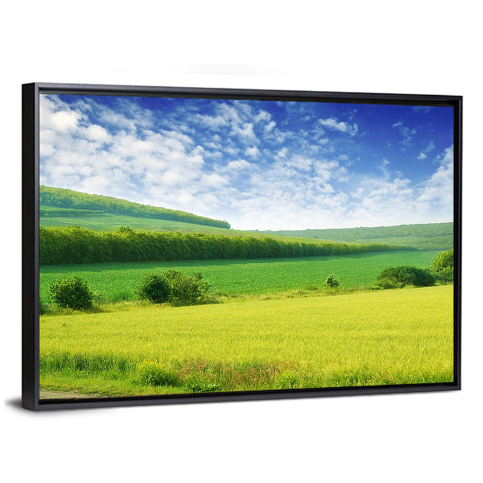 Green Spring Meadow Wall Art as a framed canvas