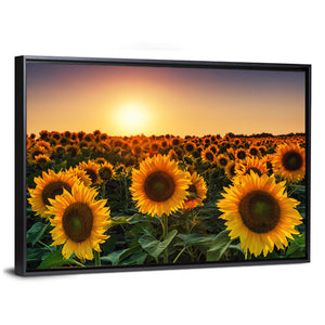 Sunflower Field Sunset Wall Art