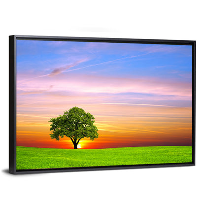 Lone Tree at Sunset Wall Art