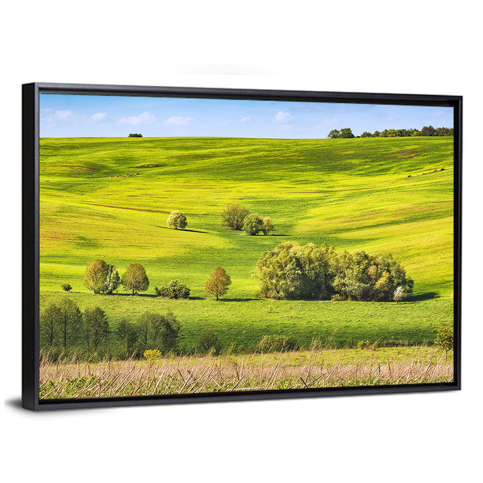 Rolling Hills of Ukraine Wall Art as a framed canvas
