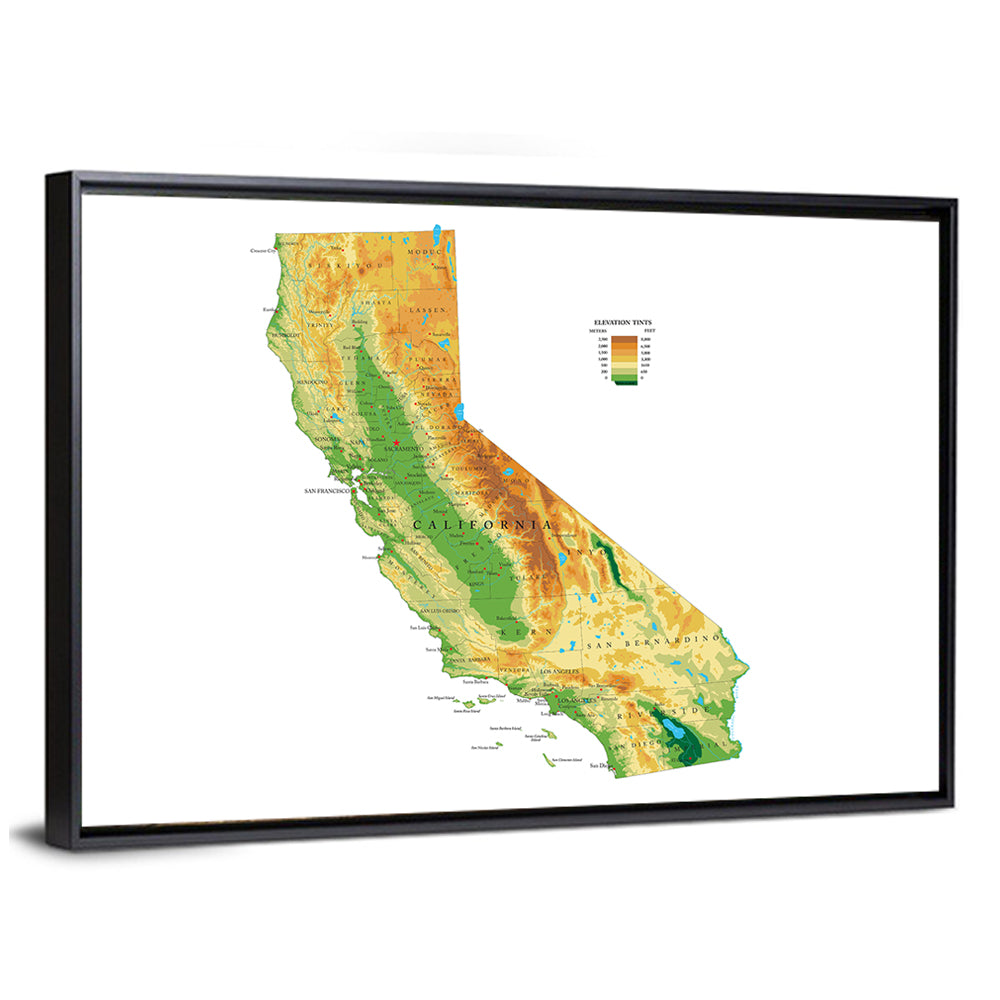 California Topographic Map Wall Art