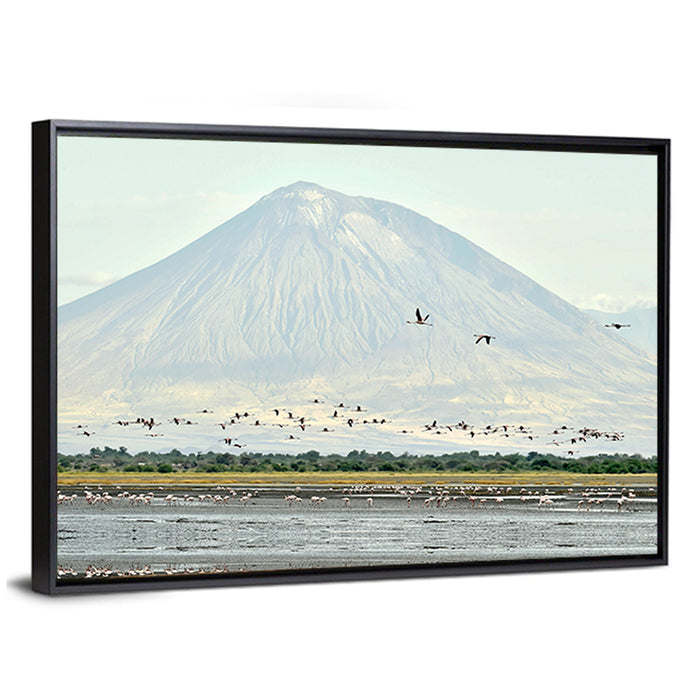 Flamingos Over Lake Natron, Doinyo Lengai Wall Art as a framed canvas