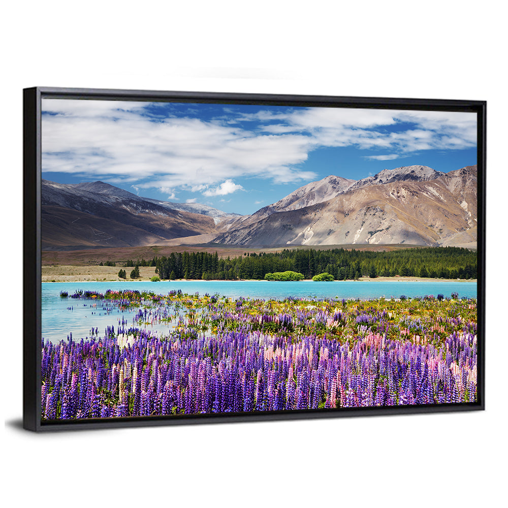Lupines at Lake Tekapo Wall Art