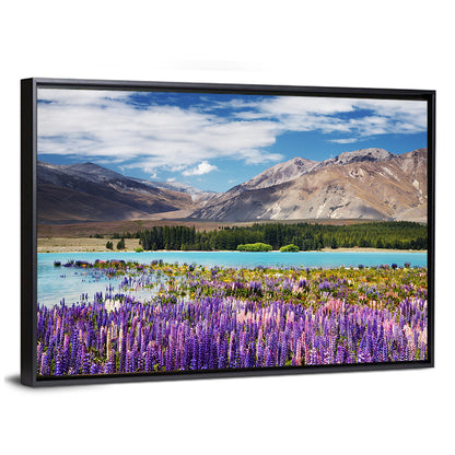 Lupines at Lake Tekapo Wall Art