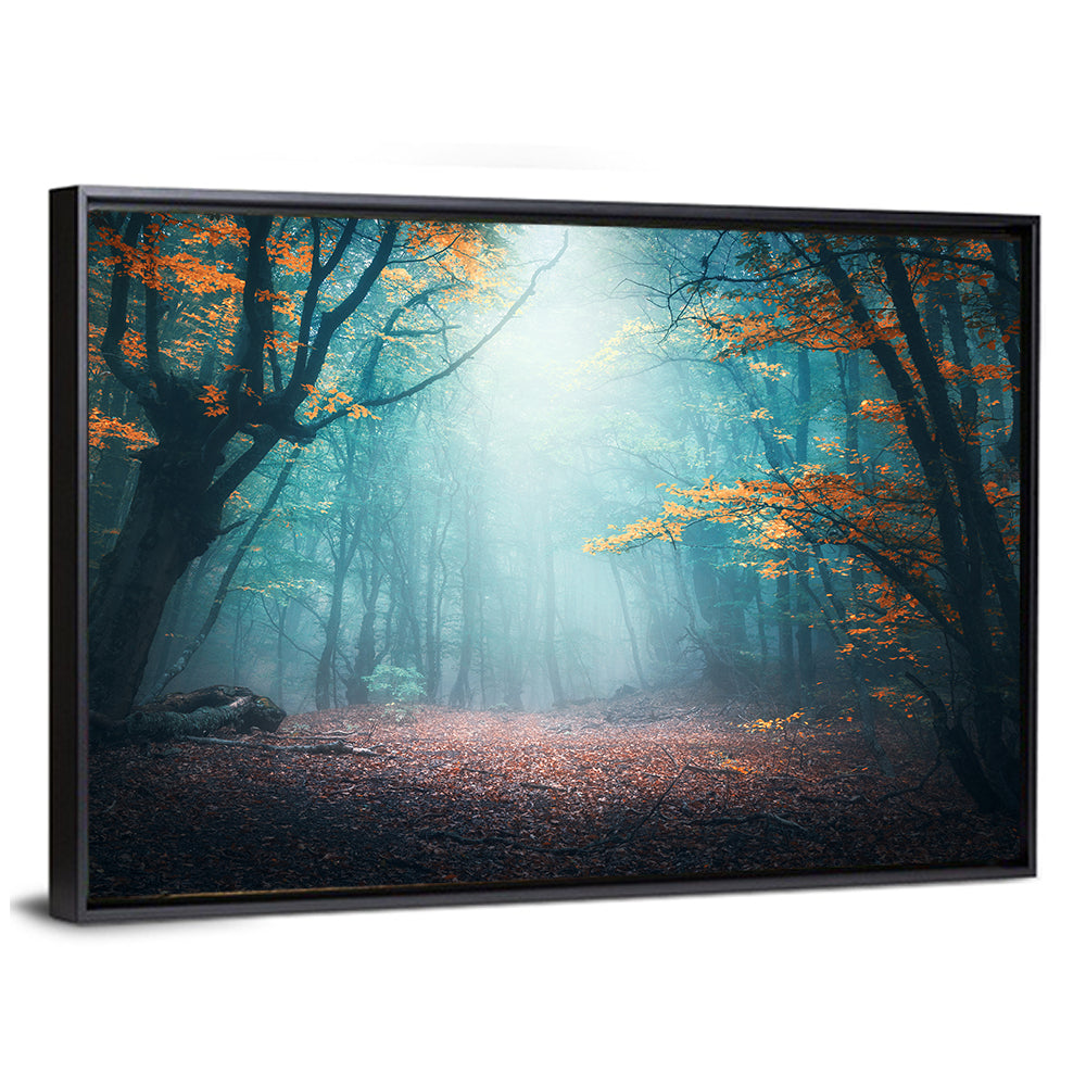 Misty Forest Path with Glowing Light Wall Art