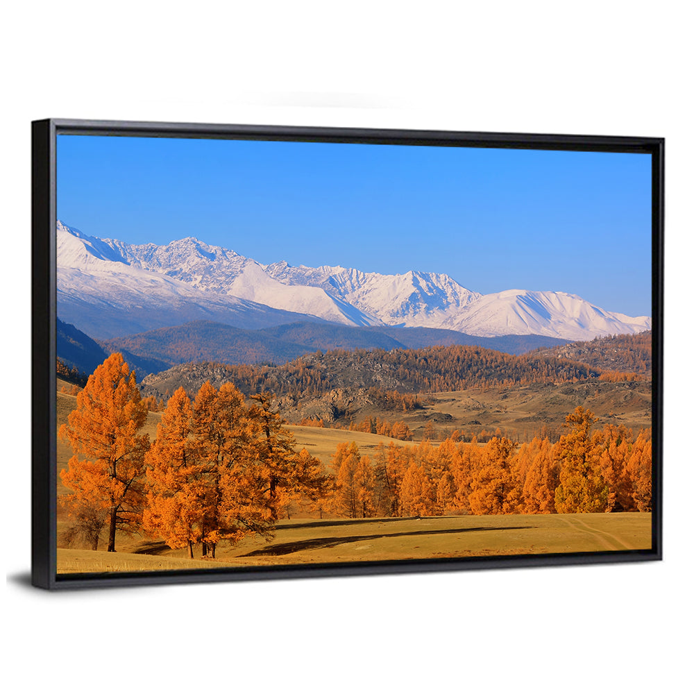 Altay Mountains with Golden Larches Wall Art