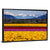 Daffodils In Skagit Valley Wall Art