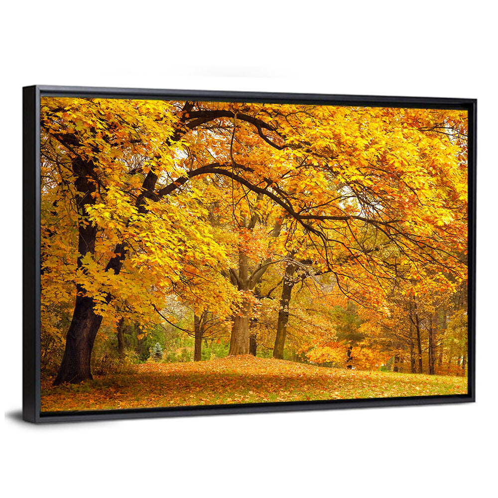 Golden Canopy in Autumn Park Wall Art