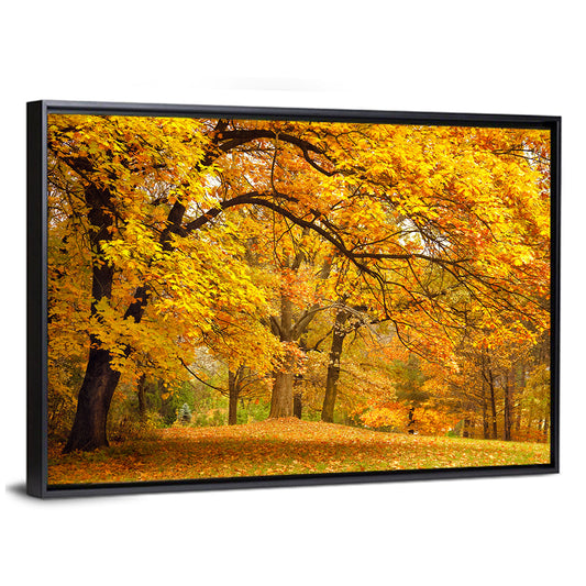Golden Canopy in Autumn Park Wall Art